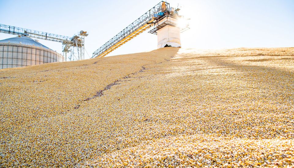Grain bin