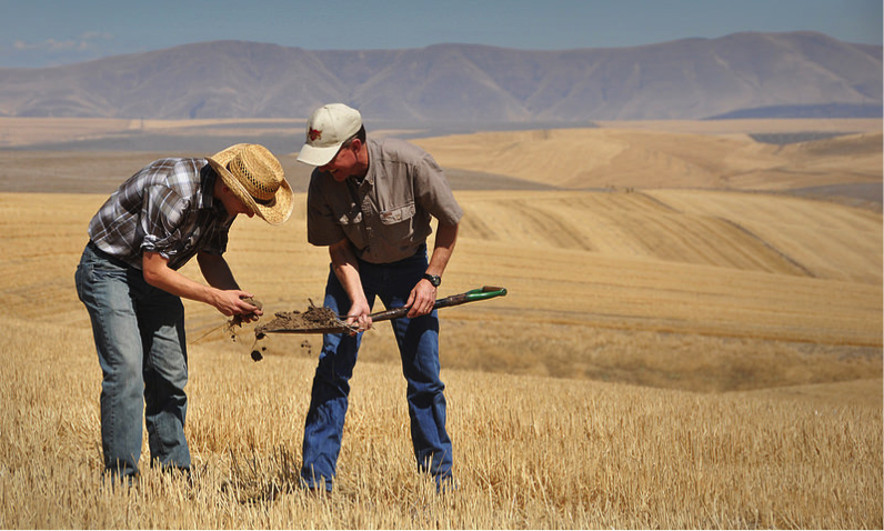 farmers inspect soil health