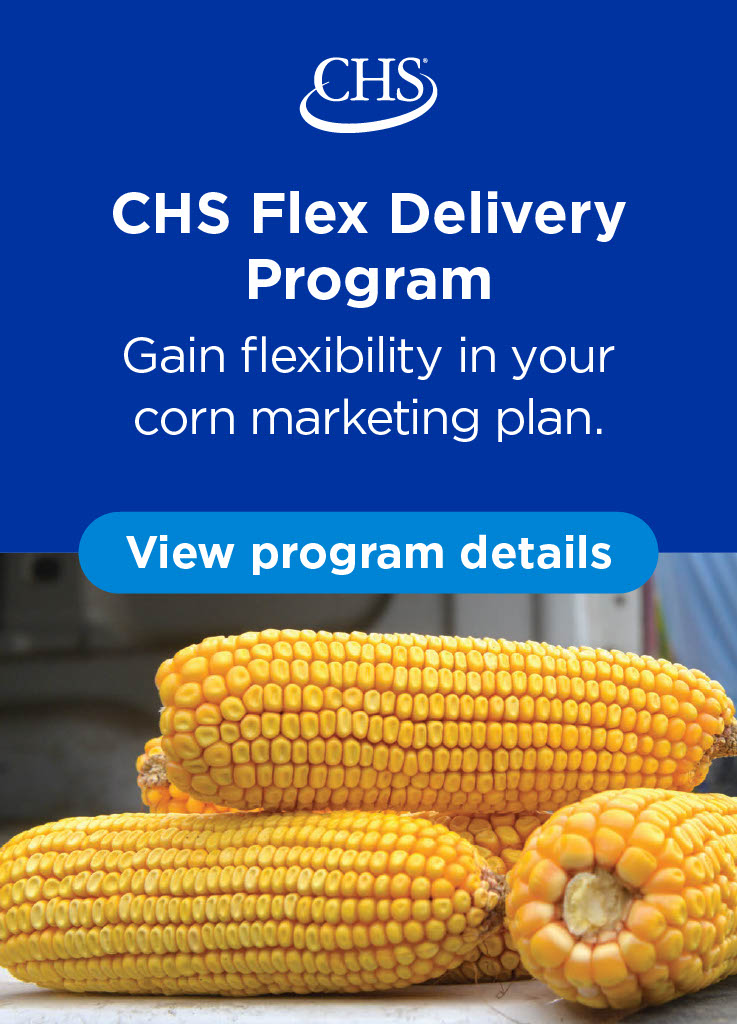 CHS Flex Delivery Program graphic