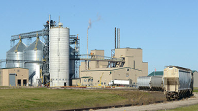 Hallock facility