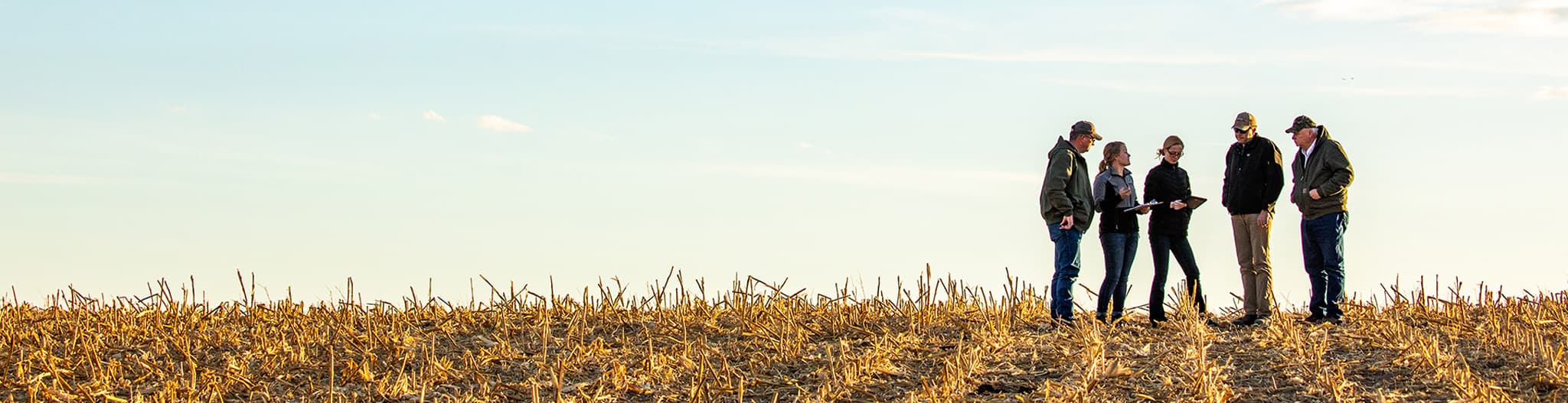 Five people standing in a harvested field