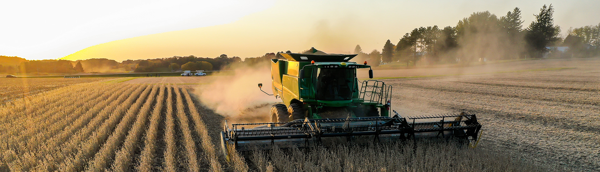 combine harvesting corn field in Southern Minnesota