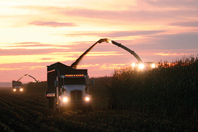 Combine harvesting at dusk