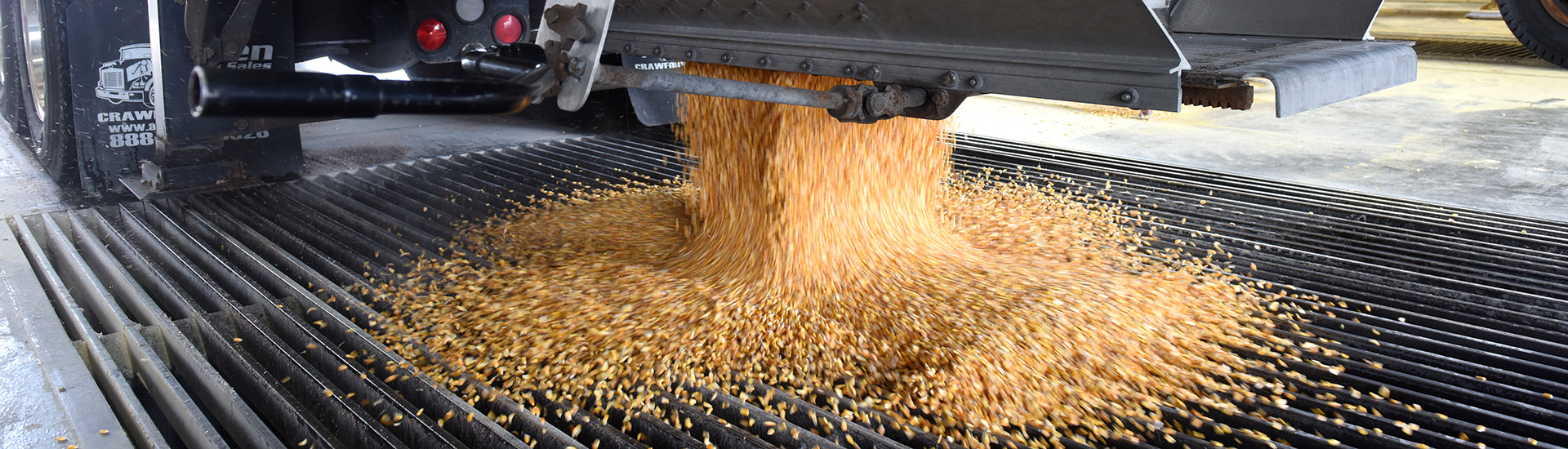 unloading grain at terminal